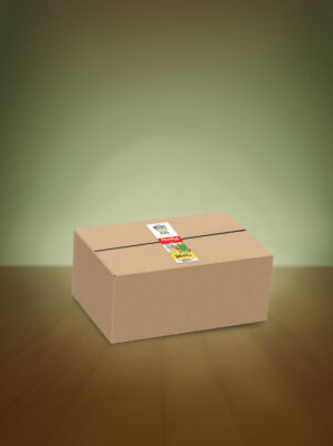 MutsusGingerwithLemongrass_box.jpg with Lemongrass-24 Bottles
